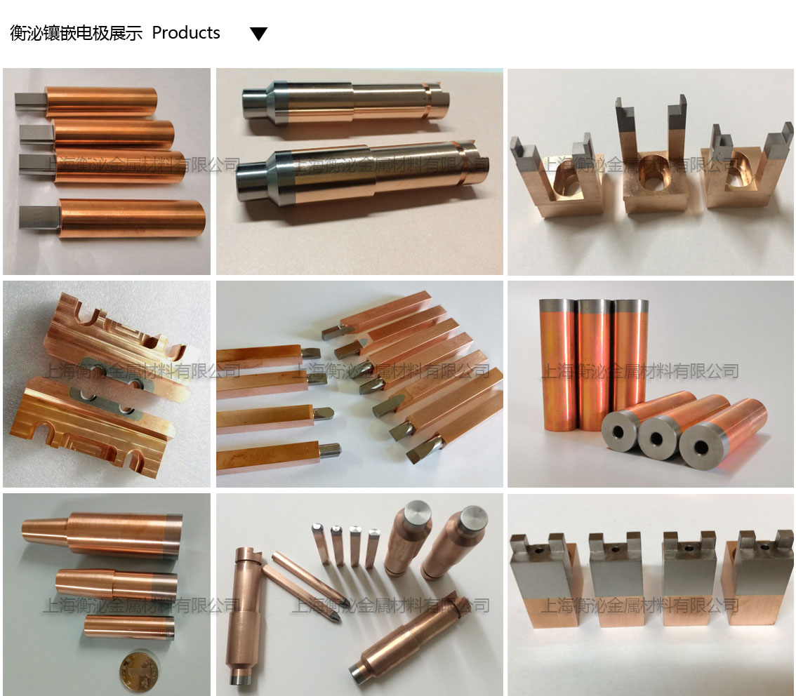 镶嵌电极产品格.jpg